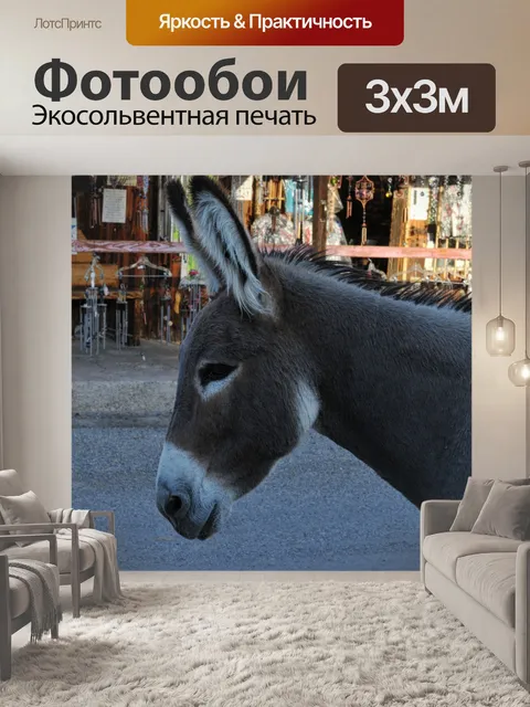 Фотообои Осел в городе