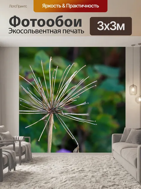 Фотообои голые стебли цветов