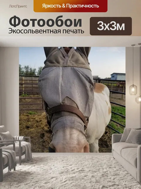 Фотообои Лошадь с завязанными глазами