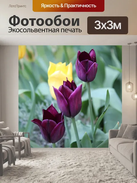 Фотообои Тюльпаны