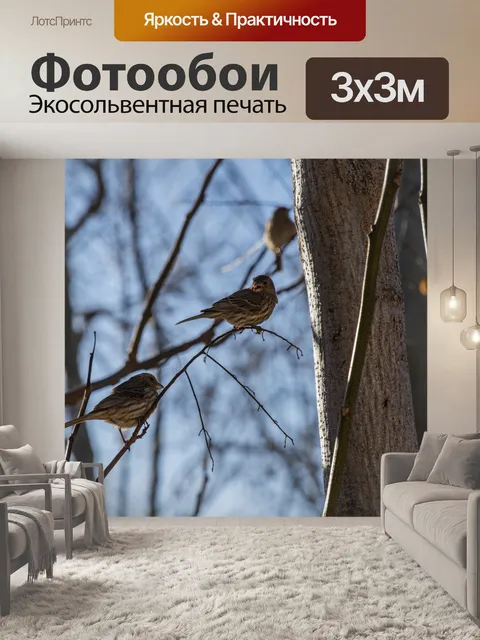 Фотообои Птицы на ветке