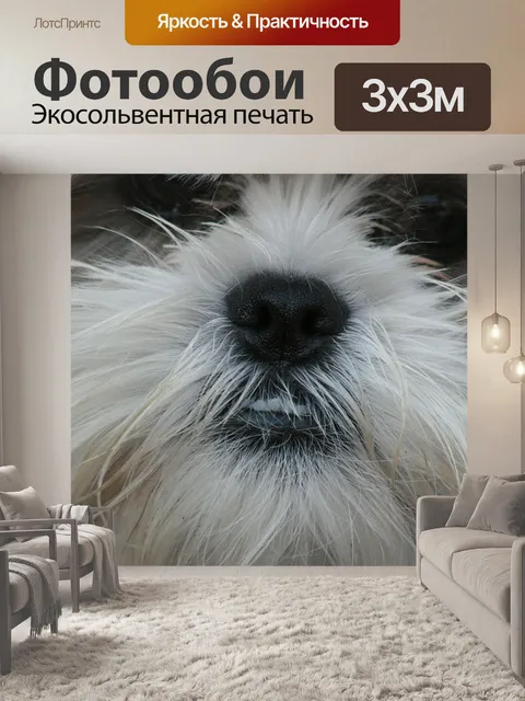 Фотообои Щенок