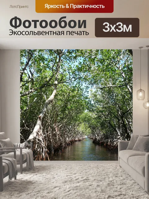 Фотообои Мангровые заросли