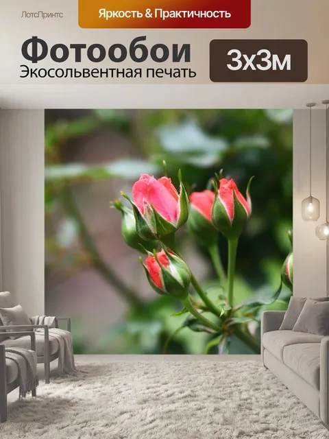 Фотообои Роза