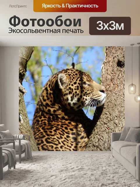 Фотообои Ягуар