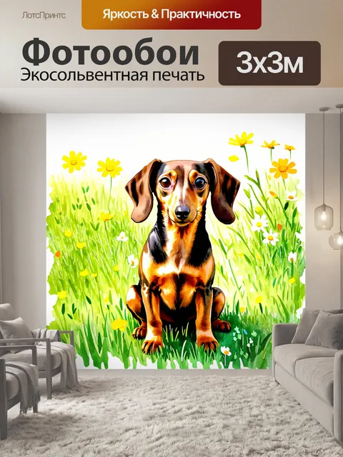 Фотообои такса, сидящая на зеленом лугу с яркими полевыми цветами вокруг