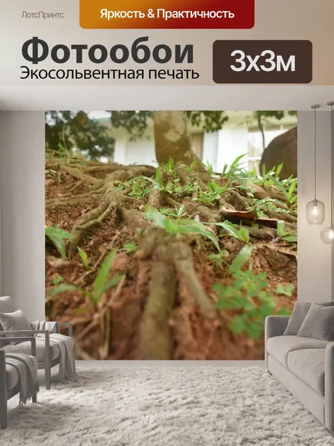 Фотообои Дерево
