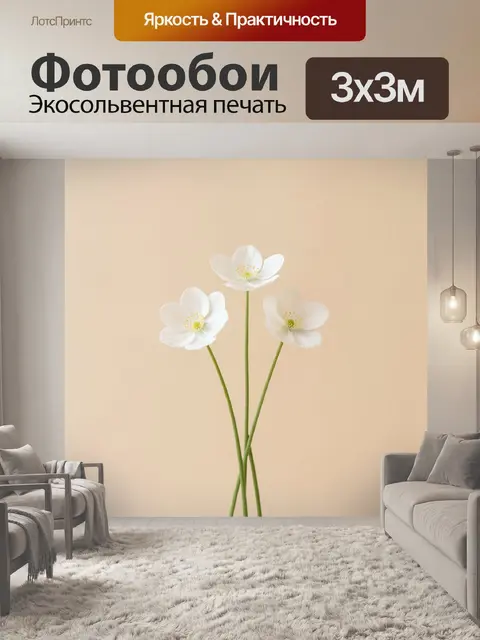 300 × 300 см · Экосольвентная печать