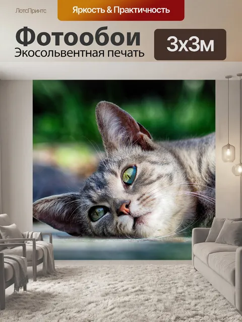 Фотообои Кошка