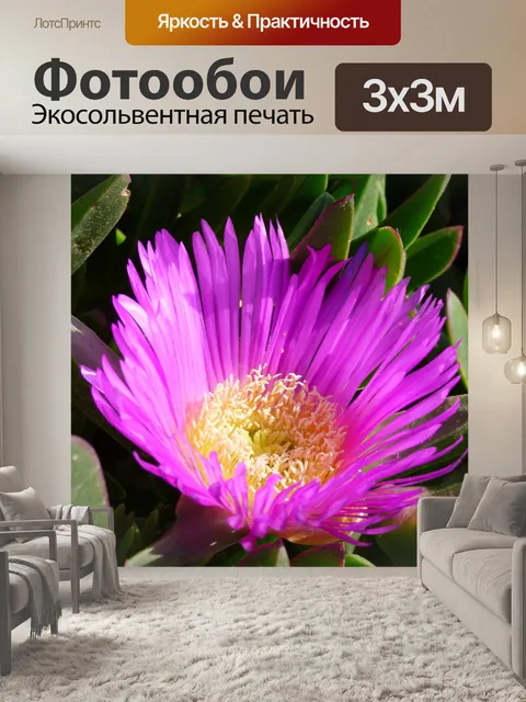 Фотообои Блум