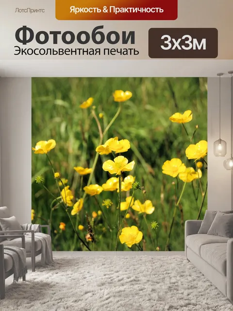Фотообои Цветы