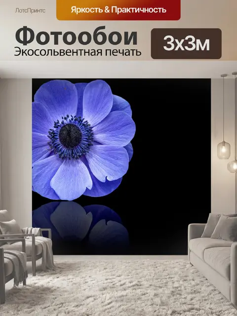 Фотообои Синий цветок, синий анемон