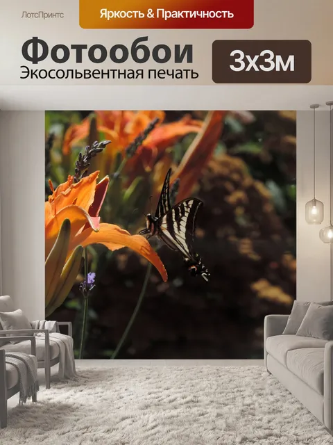 Фотообои Оранжевый лилейника