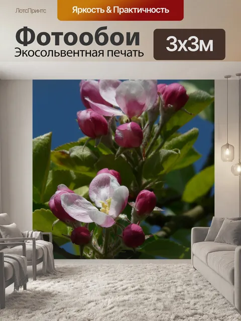 Фотообои Яблоневый цвет