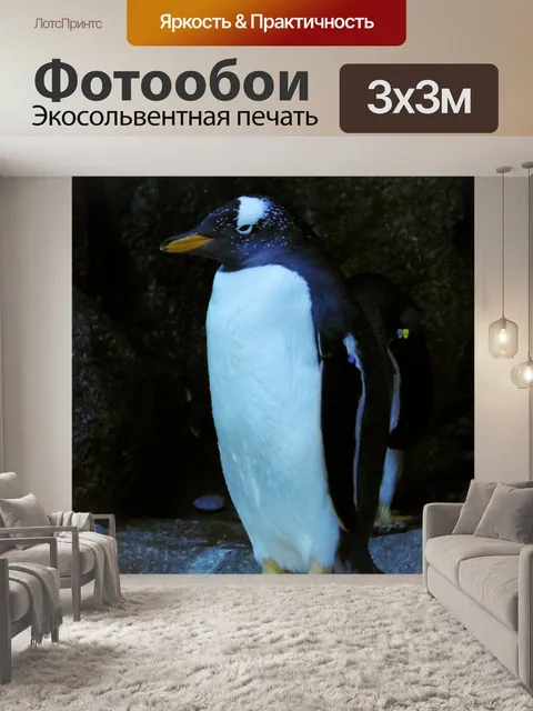Фотообои Пингвин папуа