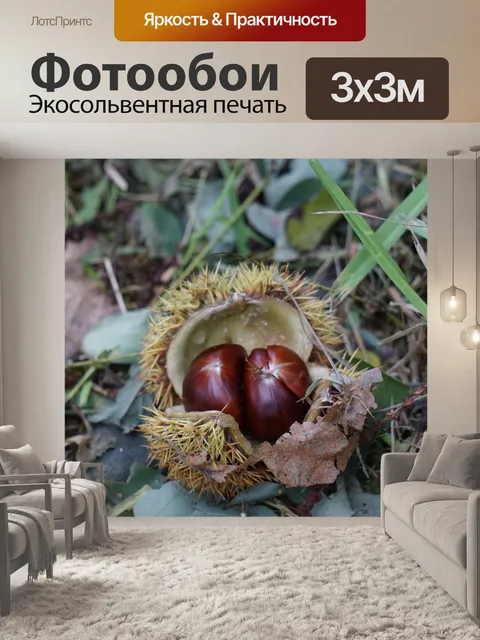Фотообои Каштаны и орехи