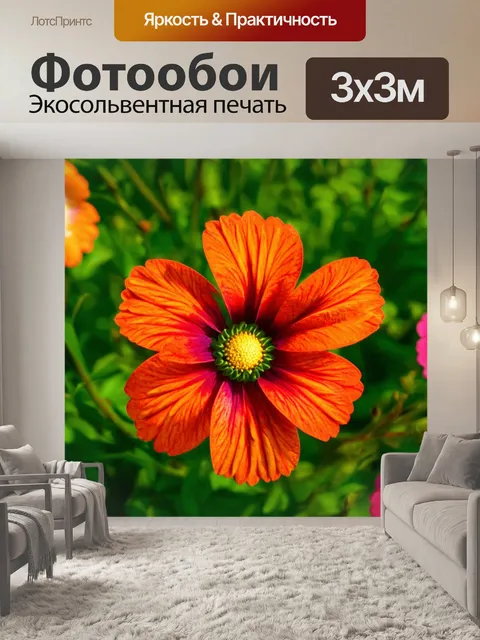 Фотообои розы в стиле модерн, динамика и движение, изображение цветов в процессе распускания