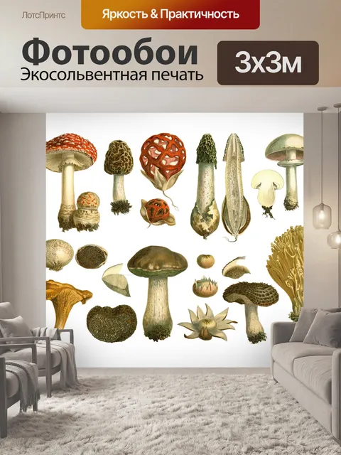 Фотообои Винтажный художественный принт с грибами