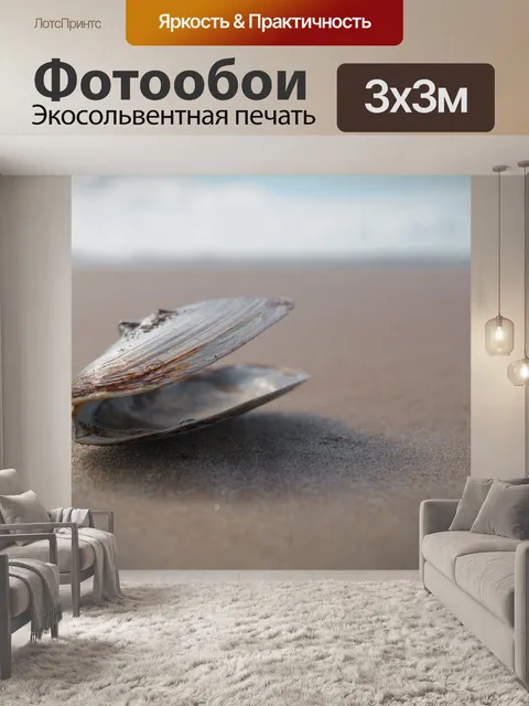 Фотообои морская ракушка