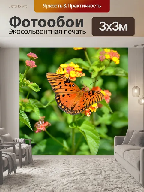 Фотообои Gulf Fritilary Бабочка