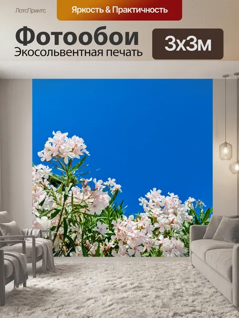 Фотообои Цветы олеандра