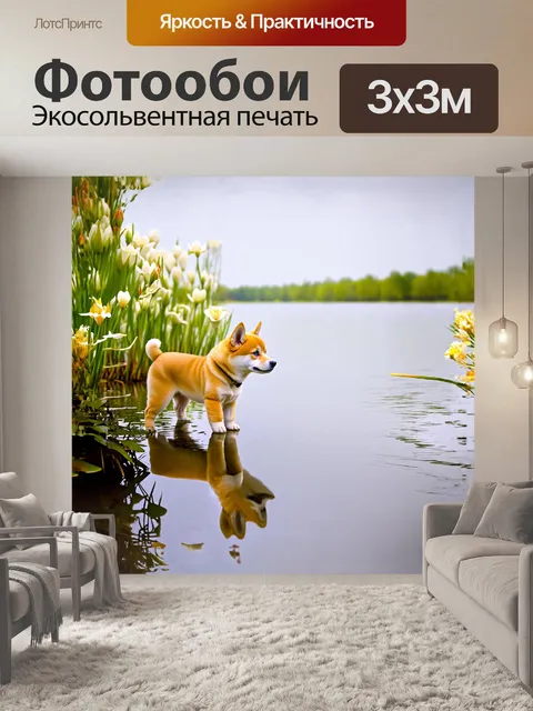 Фотообои на берегу спокойного озера щенок сиба ину, осторожно подкрадываясь к воде, любуется своим отражением