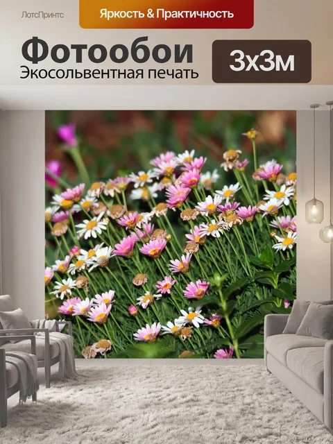 Фотообои розовые маргаритки
