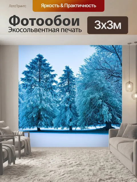 Фотообои деревья, покрытые инеем на зимнем пейзаже