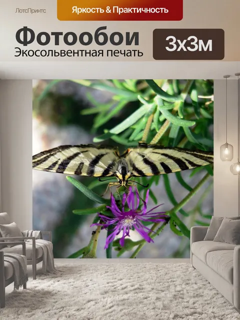 Фотообои Бабочка
