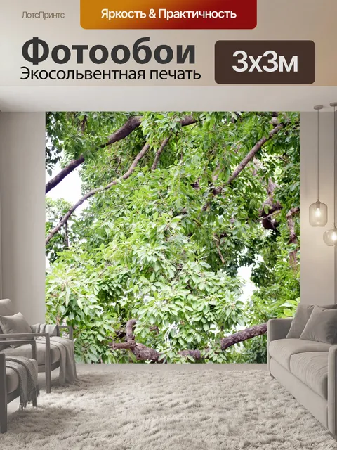Фотообои Листва деревьев 1