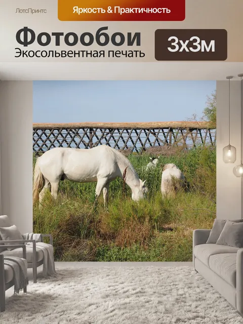 Фотообои Лошади