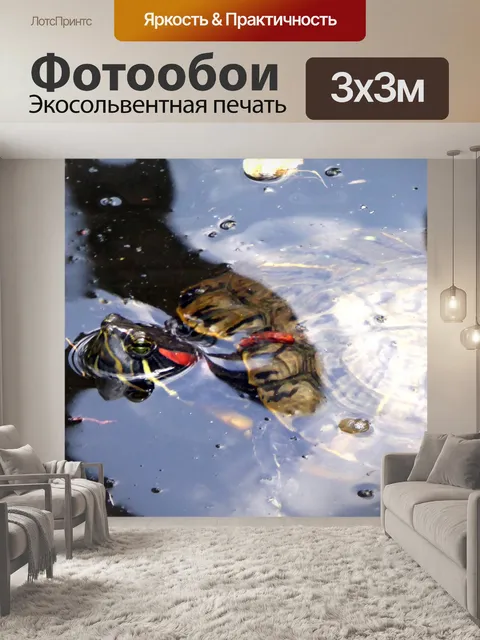 Фотообои Черепаха в пруду