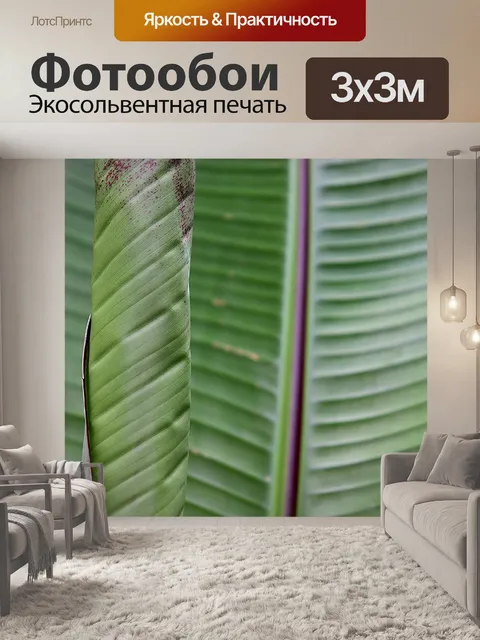 Фотообои Банановые листья