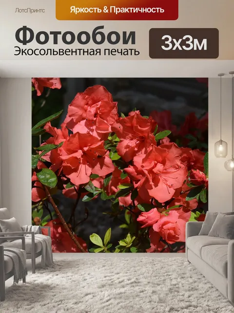 Фотообои Оранжевый азалия