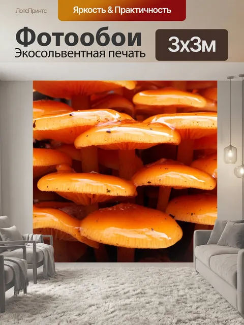 Фотообои Гриб