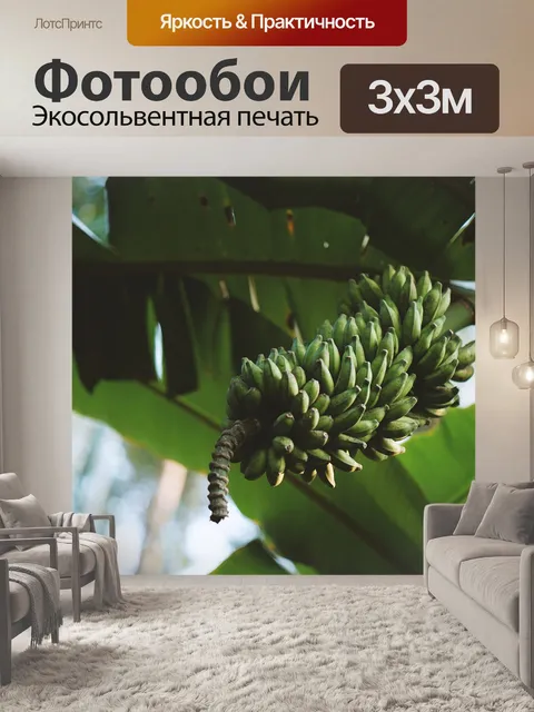 Фотообои Банановое дерево