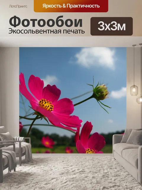 Фотообои Конечно курс