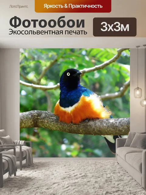 Фотообои KC зоопарк птица на ветке