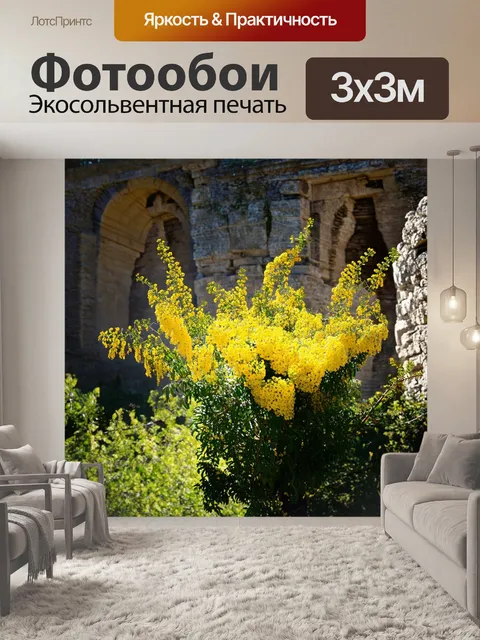 Фотообои мимоза на фоне каменных руин, показывающая, как жизнь находит путь даже в самых трудных условиях
