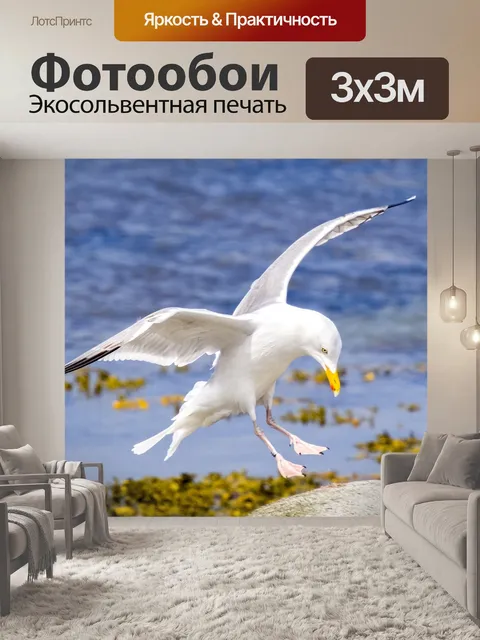 Фотообои Сельдь чайка
