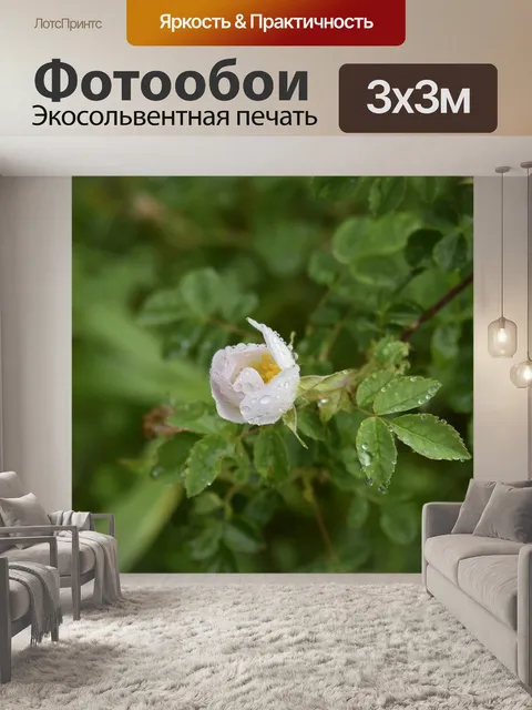 Фотообои Полевые цветы