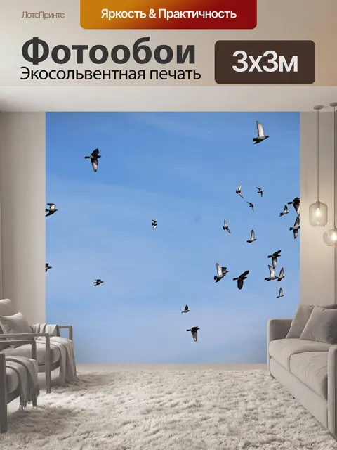 Фотообои Голубь