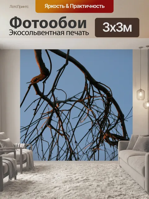 Фотообои мертвые ветви на фоне голубого неба