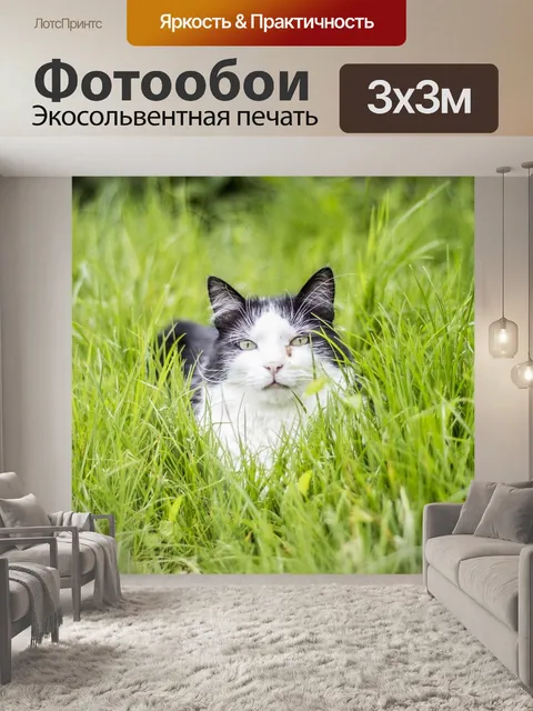 Фотообои Китти