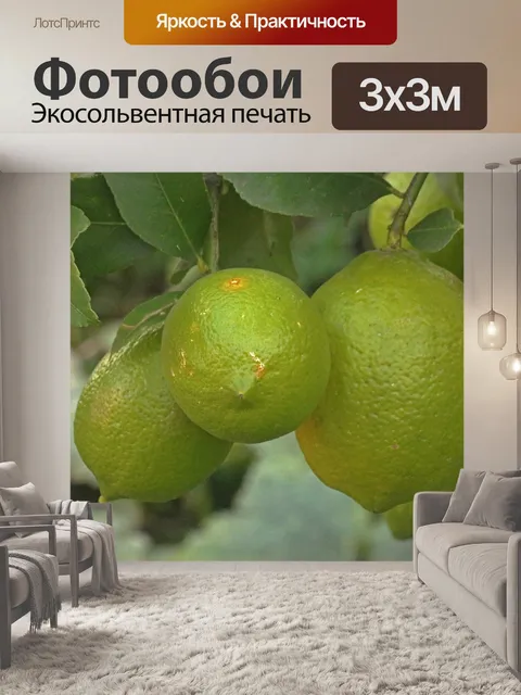 Фотообои пожелтение лимонов на дереве
