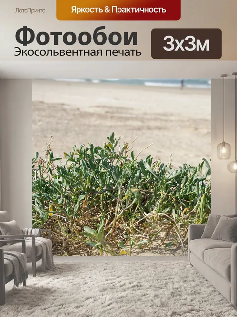 Фотообои Растения на песке на пляже