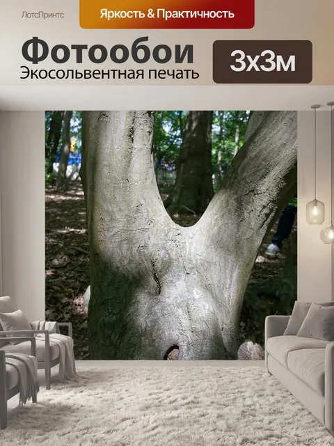 Фотообои Дерево