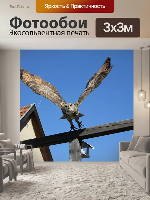Фотообои Птица