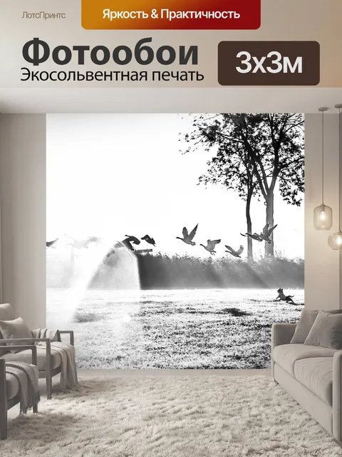 Фотообои Собака