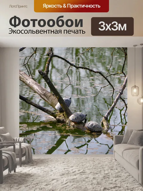 Фотообои Природа